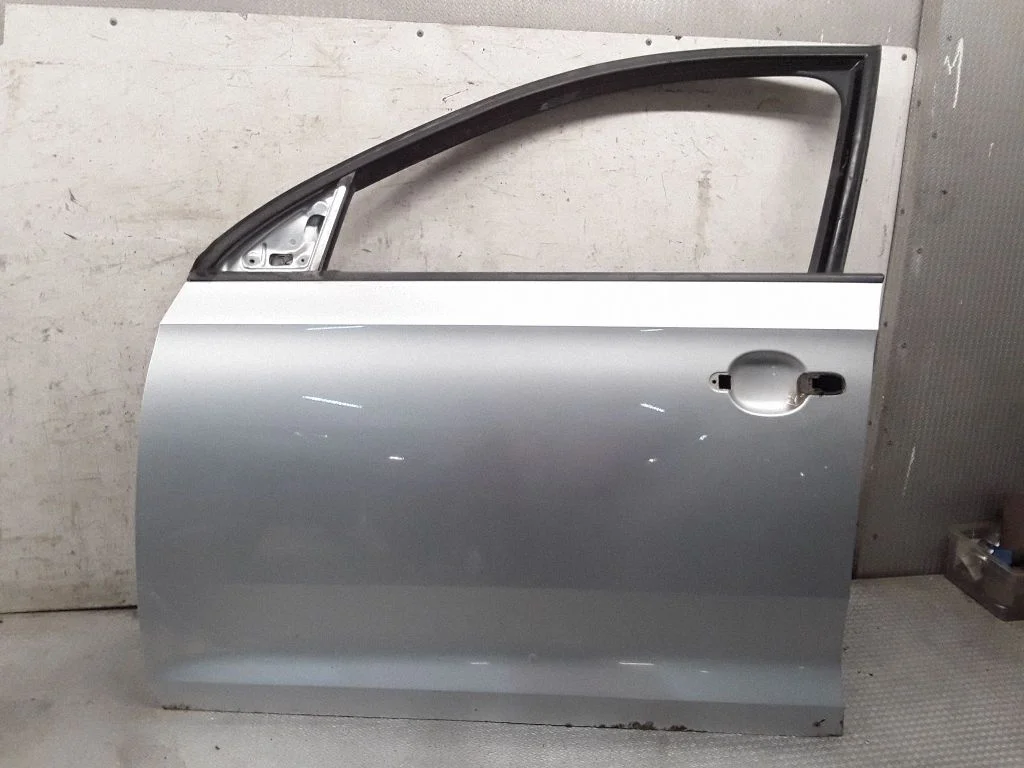Front door – Skoda Rapid (NH) (2012-2019), left