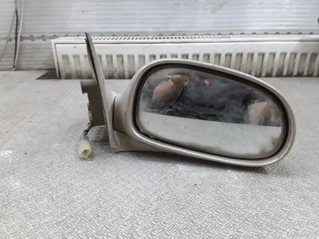 Front door electric wing mirror E13015001