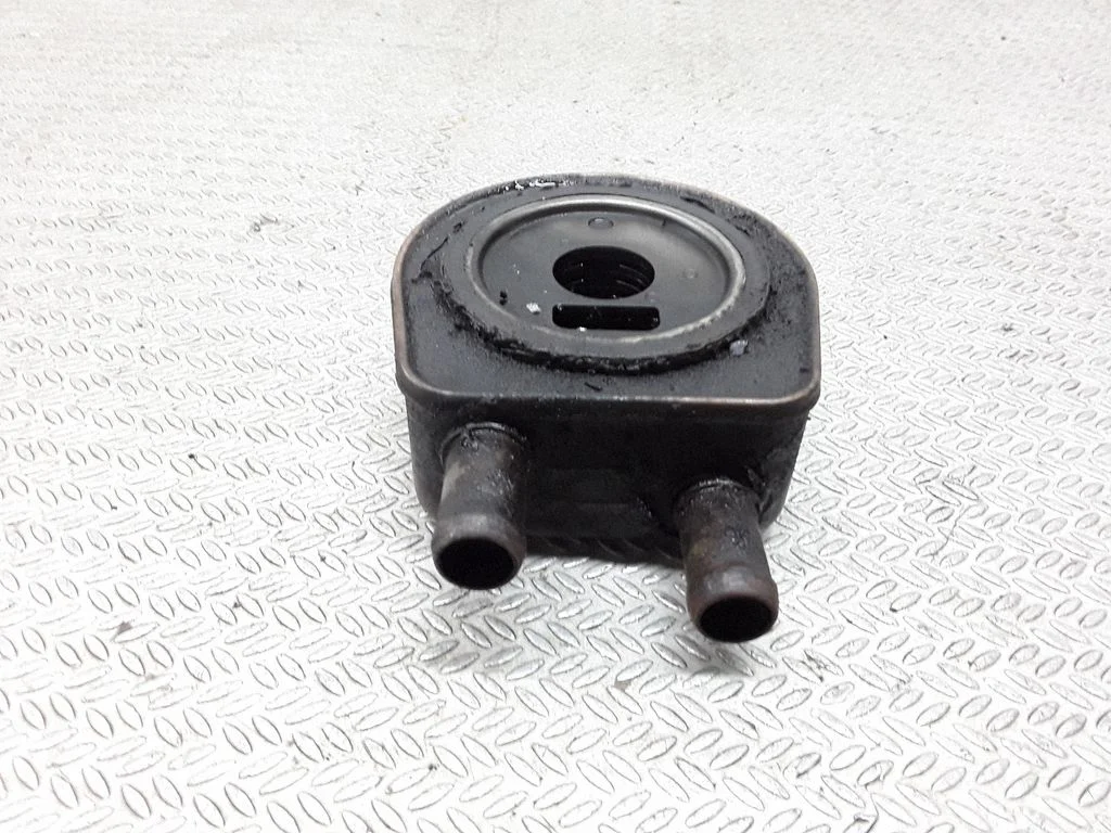 Oil filter mounting bracket – Renault Laguna II (2001-2007)
