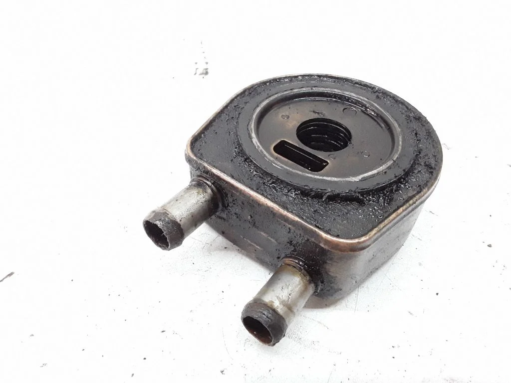 Oil filter mounting bracket – Renault Laguna II (2001-2007)