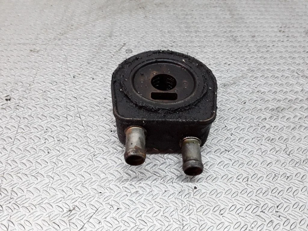 Oil filter mounting bracket – Renault Laguna II (2001-2007)