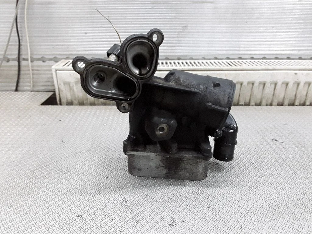 Oil filter mounting bracket – Renault Espace - Grand espace IV (2004-2014)