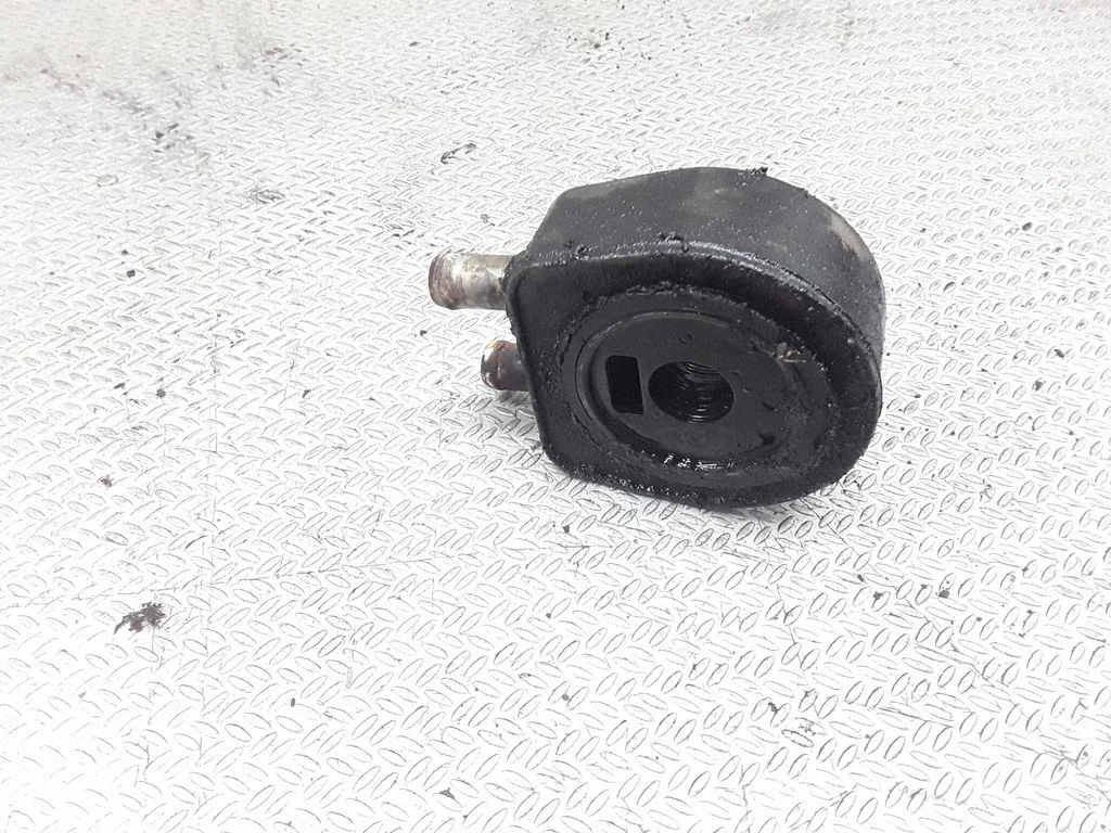 Oil filter mounting bracket – Renault Laguna II (2001-2007)