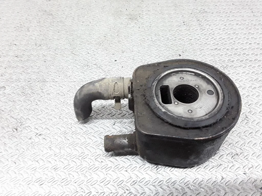 Oil filter mounting bracket – Renault Laguna II (2001-2007)