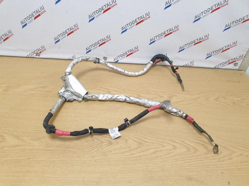 Wires (starter motor) 8638586