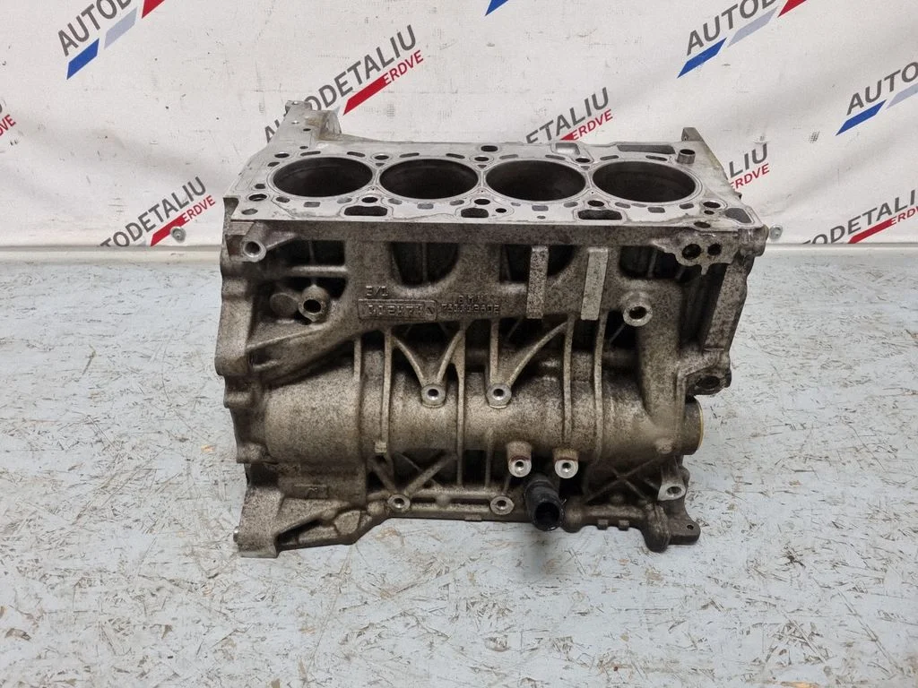 Mootoriplokk N47D20D