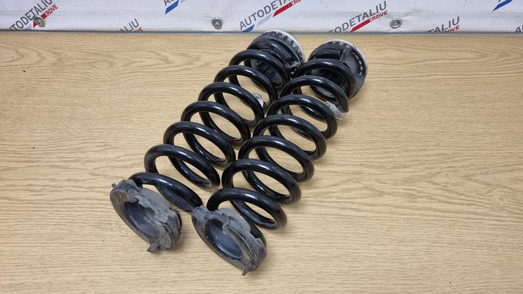 Rear coil spring