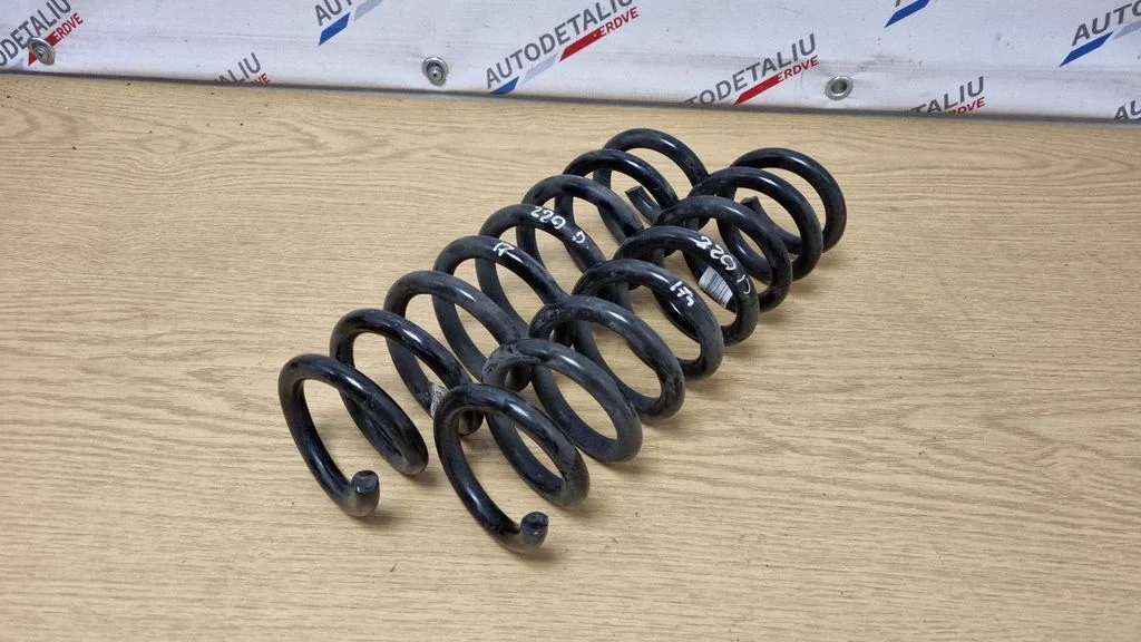 Rear coil spring