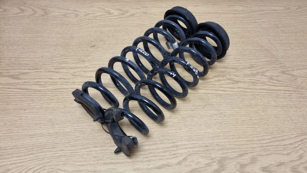 Rear coil spring