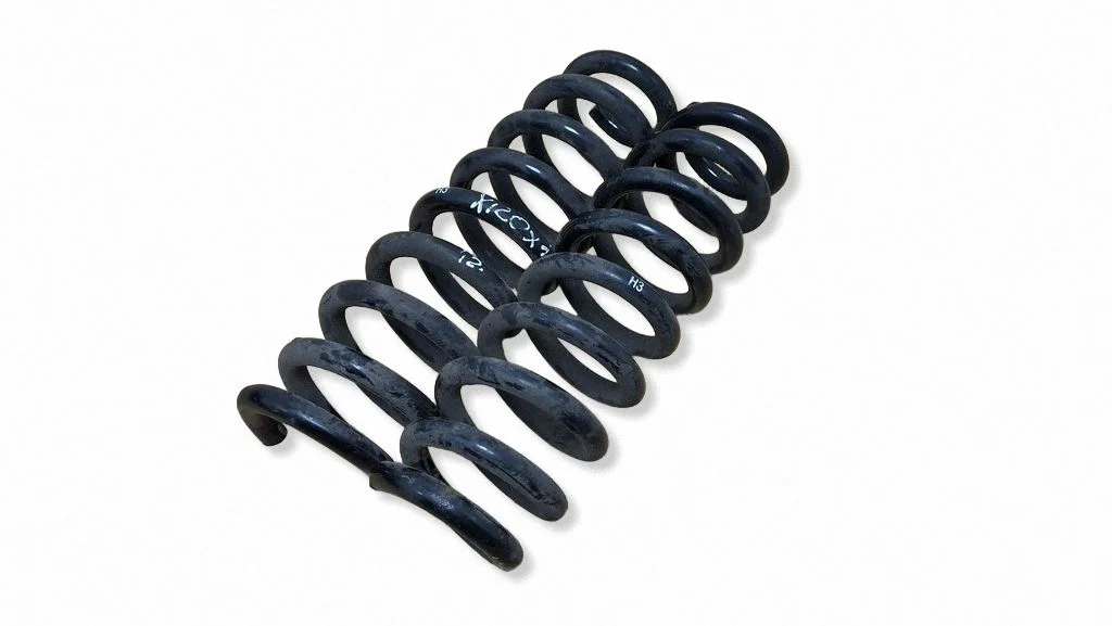 Rear coil spring