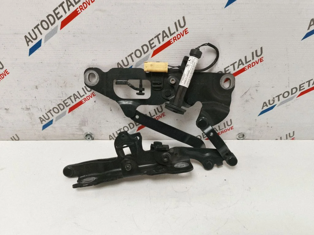 Engine bonnet/hood hinges 7249887