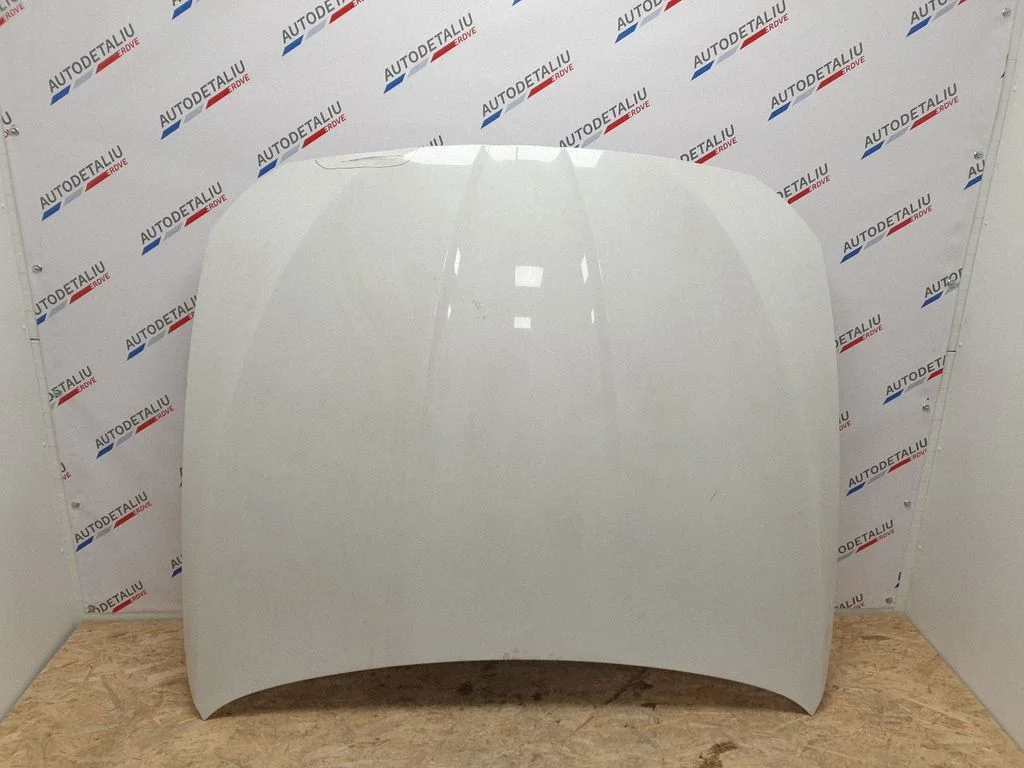 Engine bonnet/hood 7207194