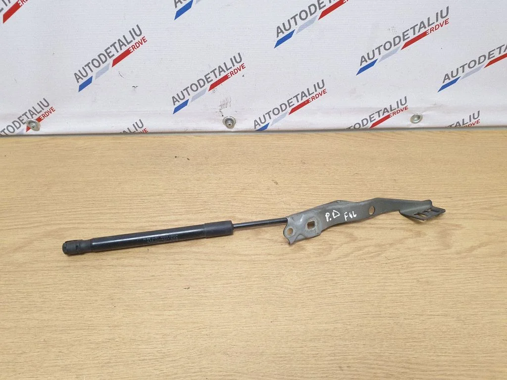 Motora pārsega amortizators 7300532