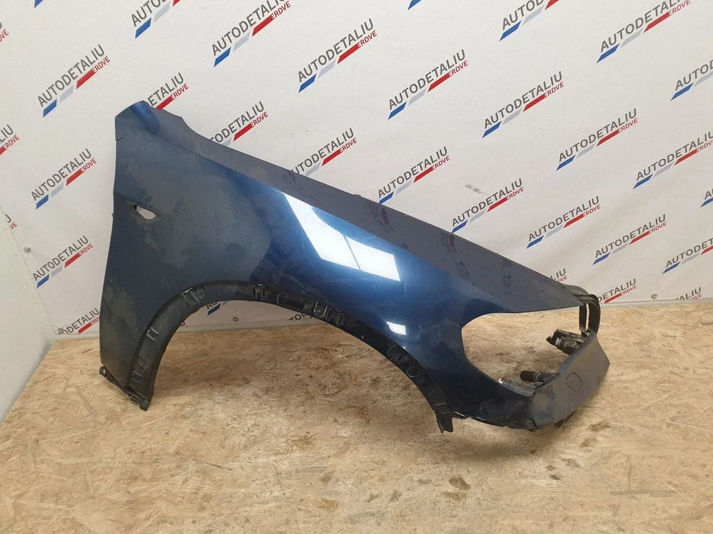 Błotnik 7222996