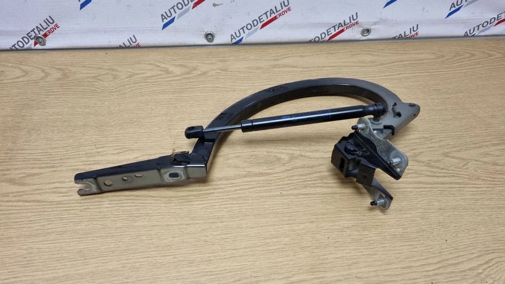 Tailgate/trunk/boot hinge 7430639