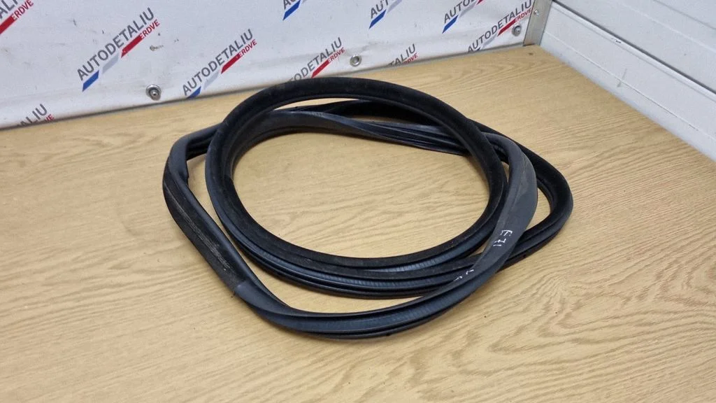 Uszczelka drzwi przednich (na karoserii) – BMW X6 E71 (2008-2014)