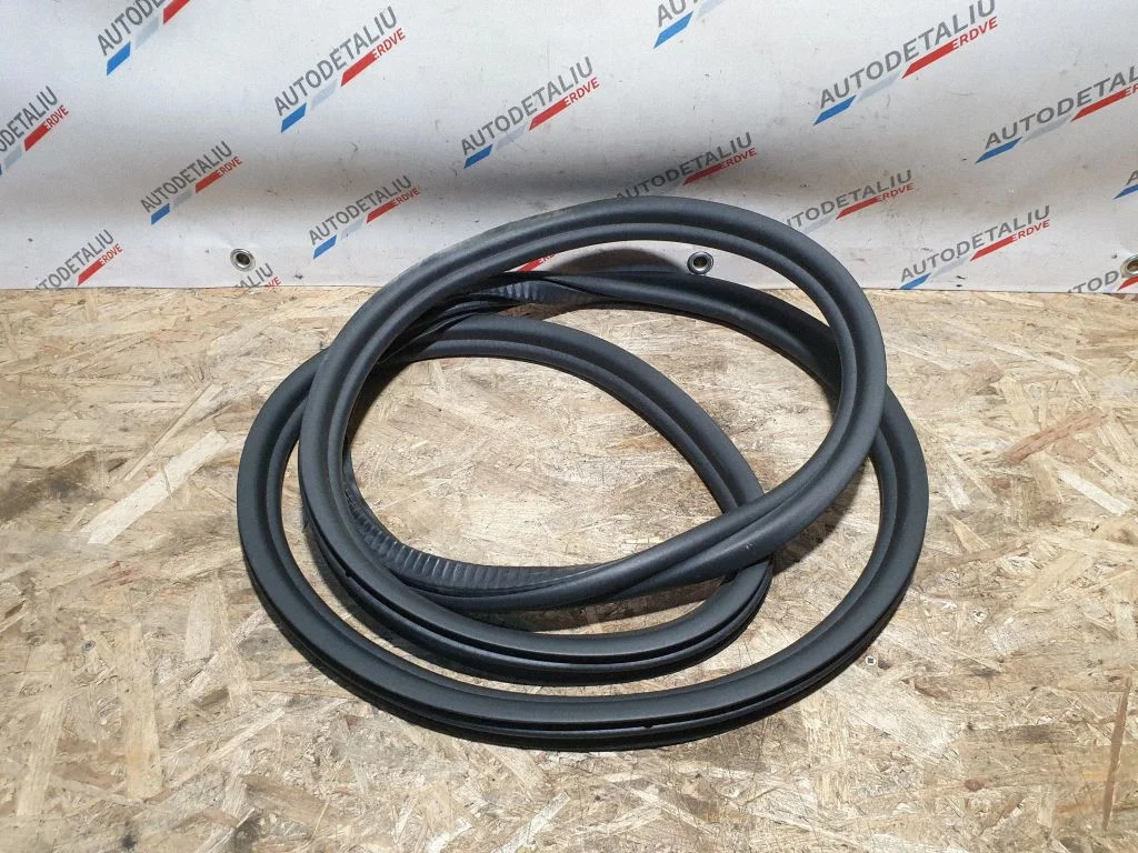 Uszczelka drzwi przednich (na karoserii) 733700