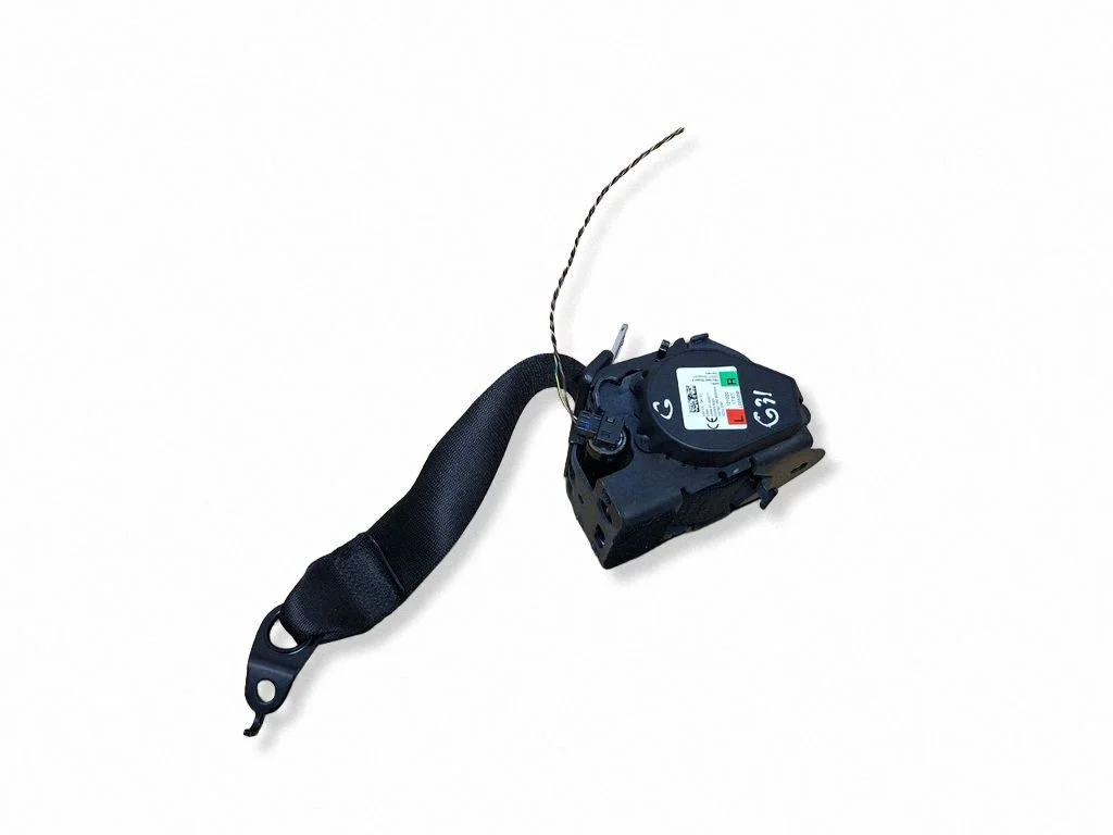 Aizmugurējā drošības josta 7431234