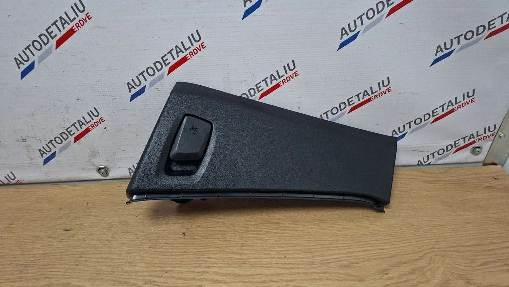 (D) piilari viimistlus (alumine) – BMW X3 G01 (2018-2024)