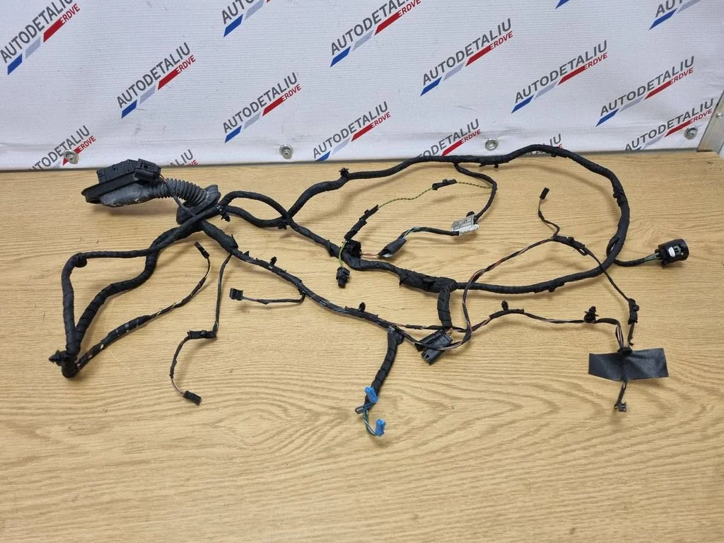 Priekšējo durvju vadu instalācija 9256002