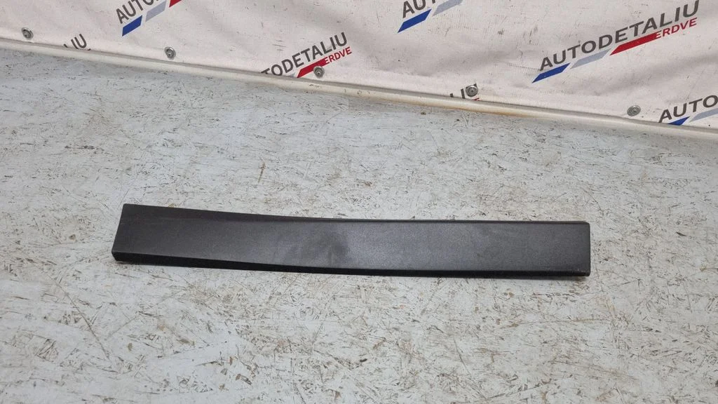 Aizmugurējo durvju apdare (molings) 7352094