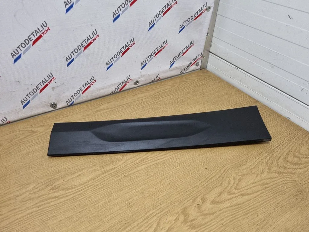 Rear door trim (molding) 7420515