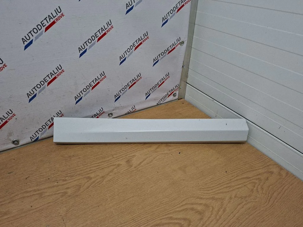 Tagaukse liist (mold) 8060274