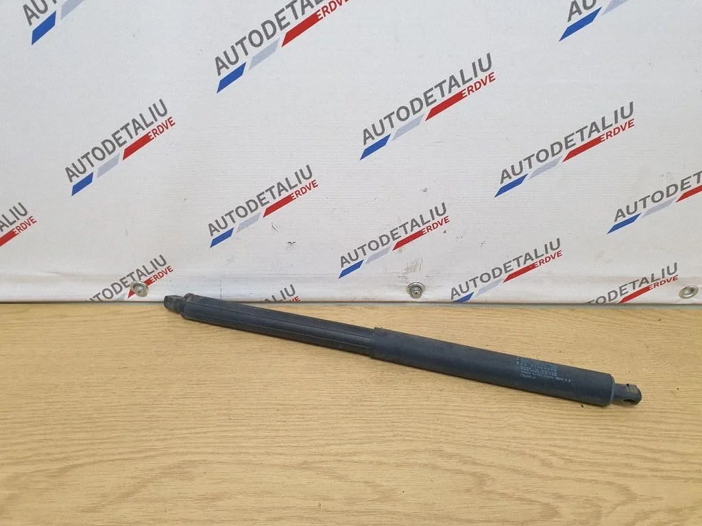 Pakiruumi luugi amortisaator 7294199