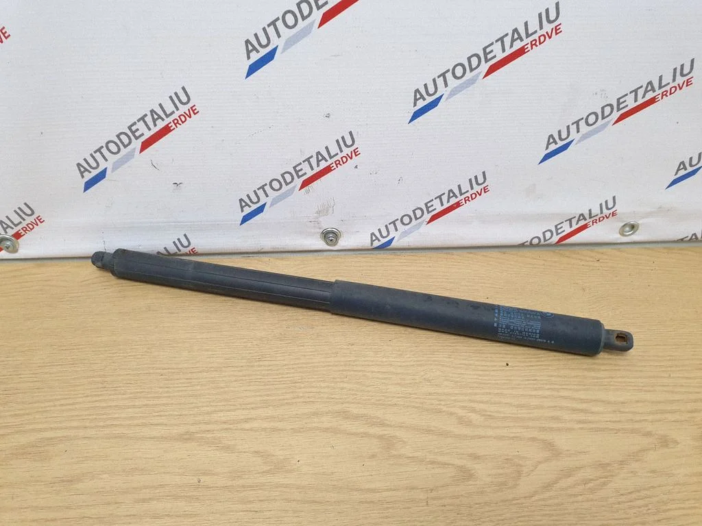 Pakiruumi luugi amortisaator 7294199