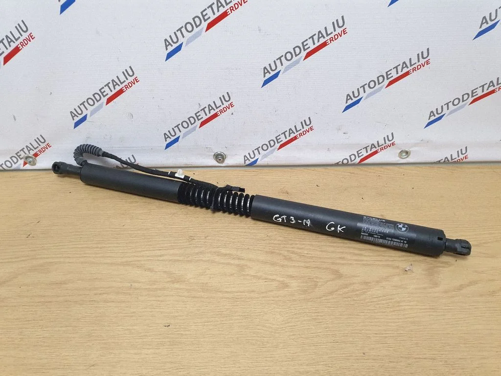 Pakiruumi luugi amortisaator 7298983