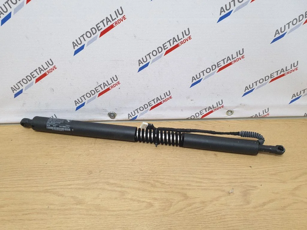 Pakiruumi luugi amortisaator 7298984