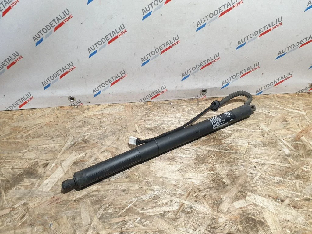 Bagāžnieka amortizators 7361878