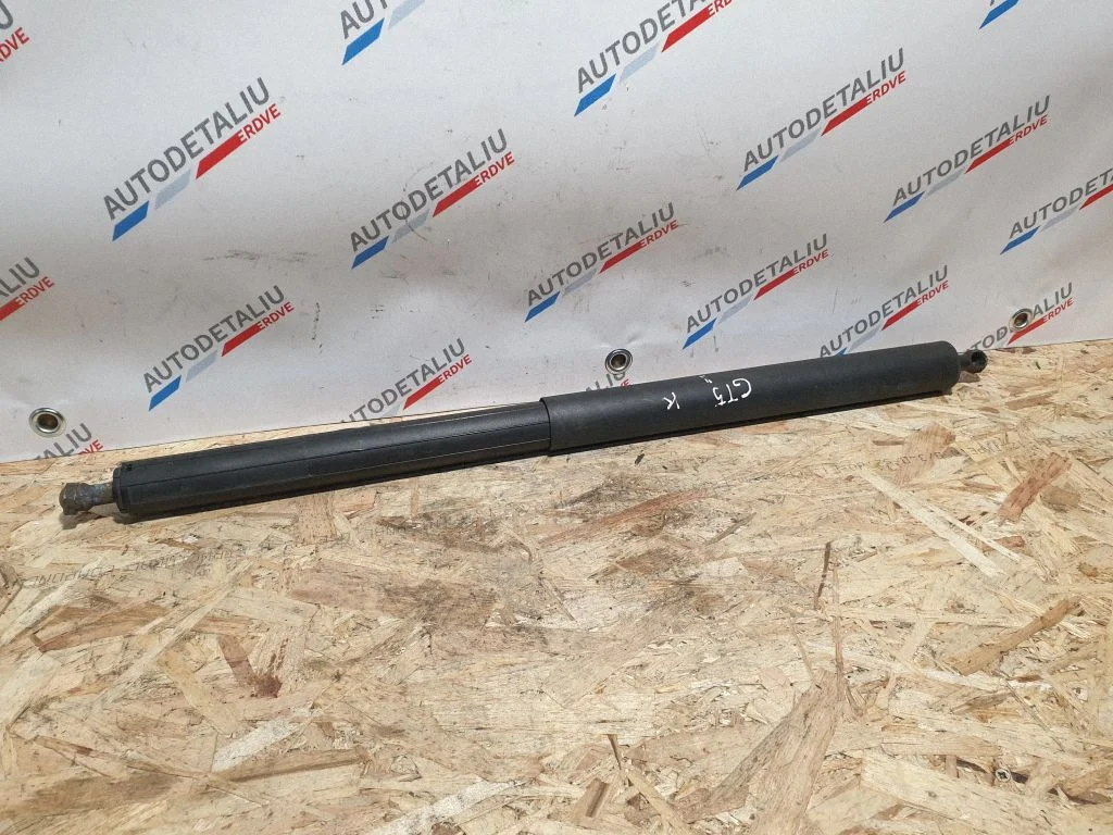 Bagāžnieka amortizators 7201545