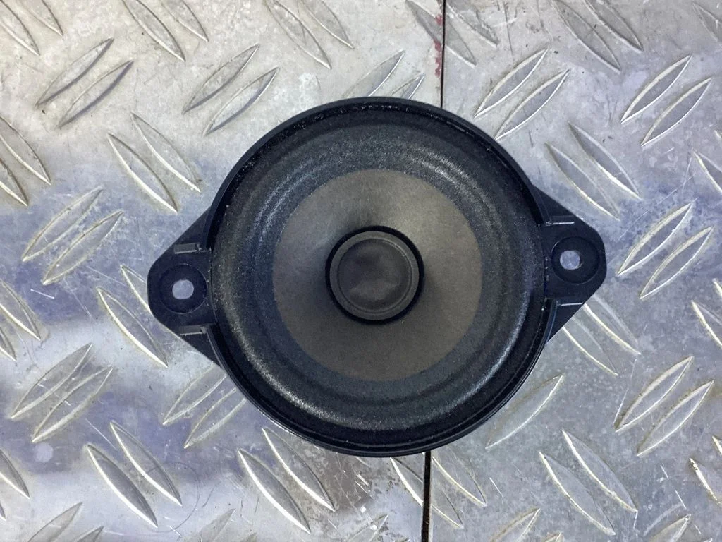 Panel speaker 100483301A – Tesla Model S (2012-)