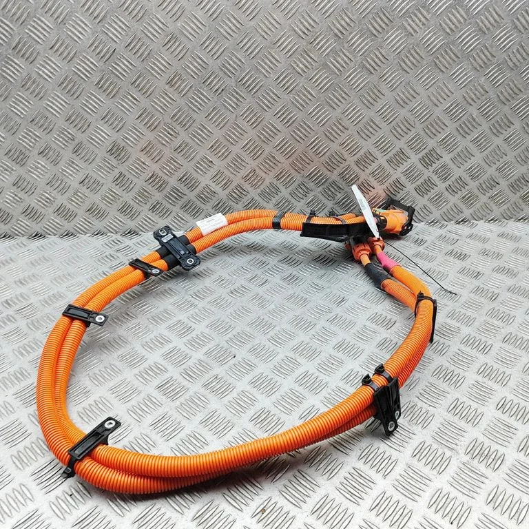 Other wiring loom 240808068R