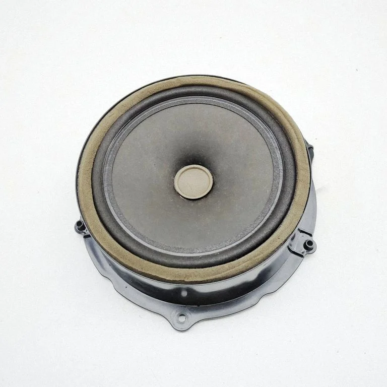Rear door speaker GX7318808DB