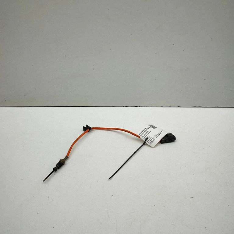 Exhaust gas temperature sensor – Ford Transit VII (2019-)