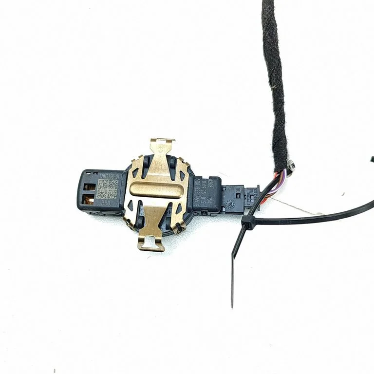 Lietus sensors – Cupra Born (2021-)