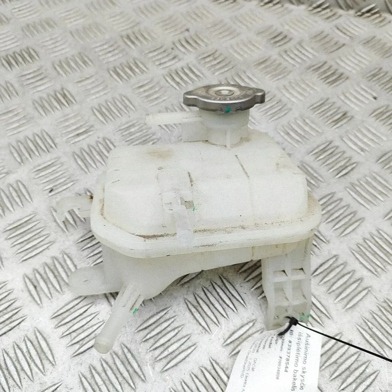 Coolant expansion tank/reservoir 217104297R