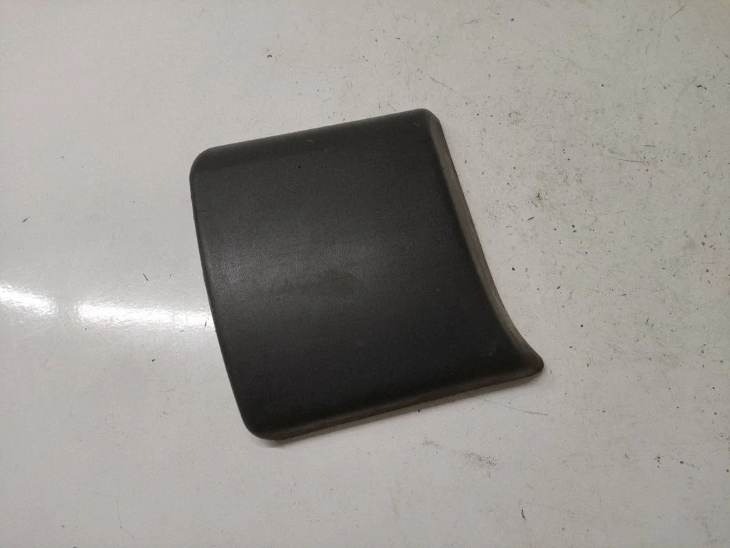 Front door trim (molding) – Opel Vivaro (2001-2014)