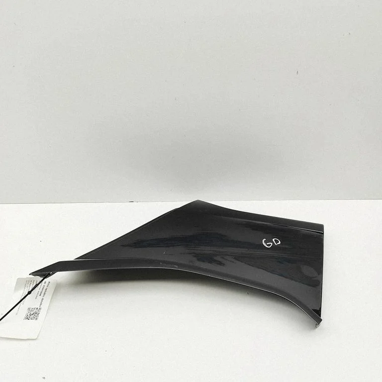 Moldings uz aizmugurējā spārna 788765SK0A