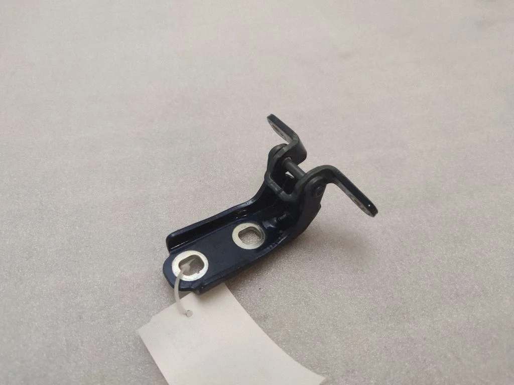 Rear door lower hinge P19116 – Buick Encore GX I (2019-)