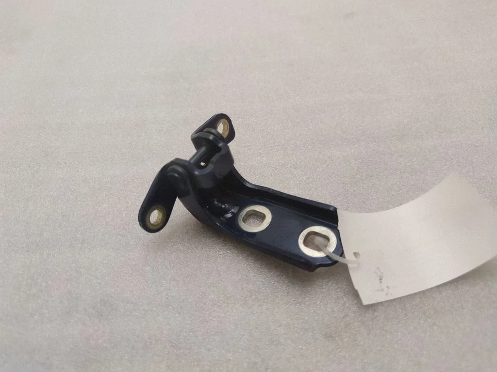 Rear door lower hinge P19123 – Buick Encore GX I (2019-)