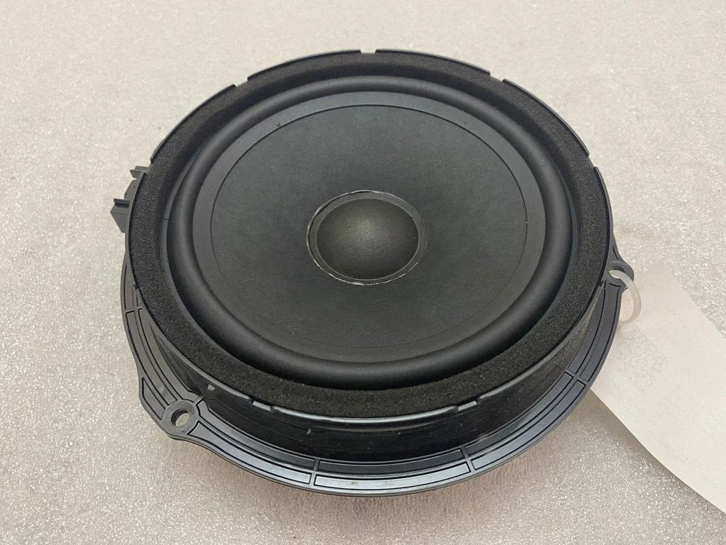 Skaļrunis (-ņi) priekšējās durvīs JJ3218808BA