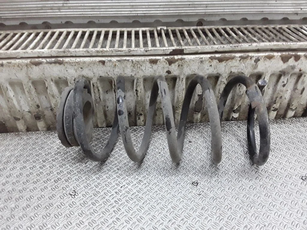 Rear coil spring