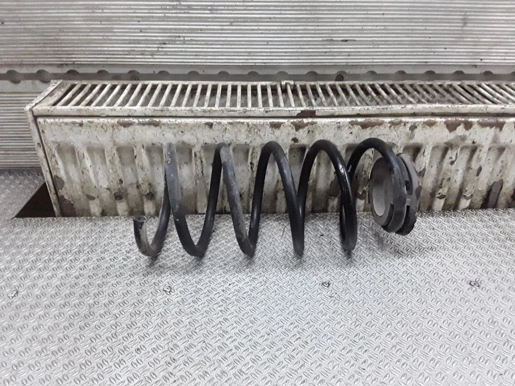 Rear coil spring