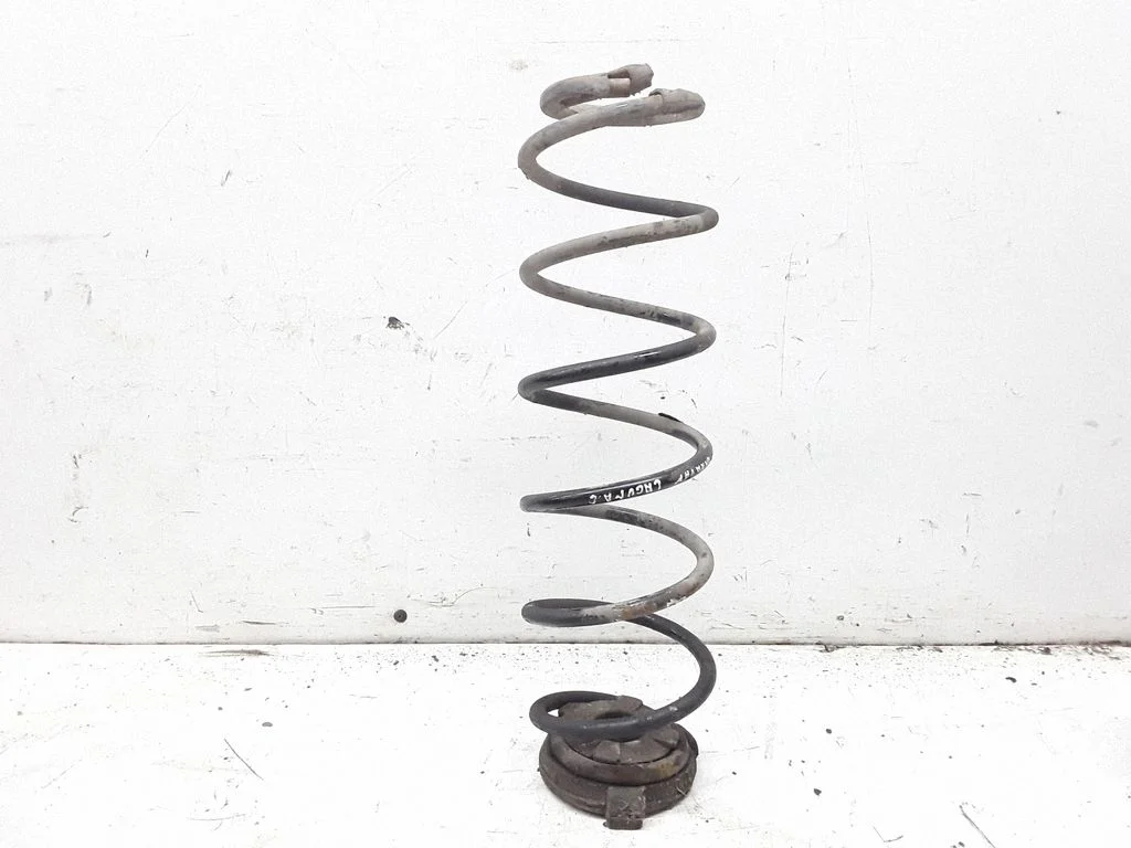 Rear coil spring