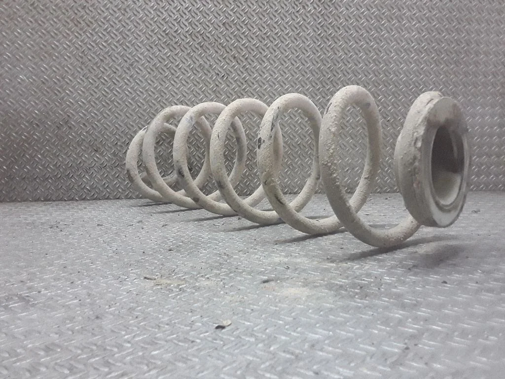 Rear coil spring