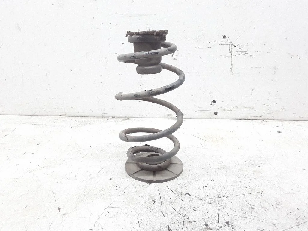 Rear coil spring