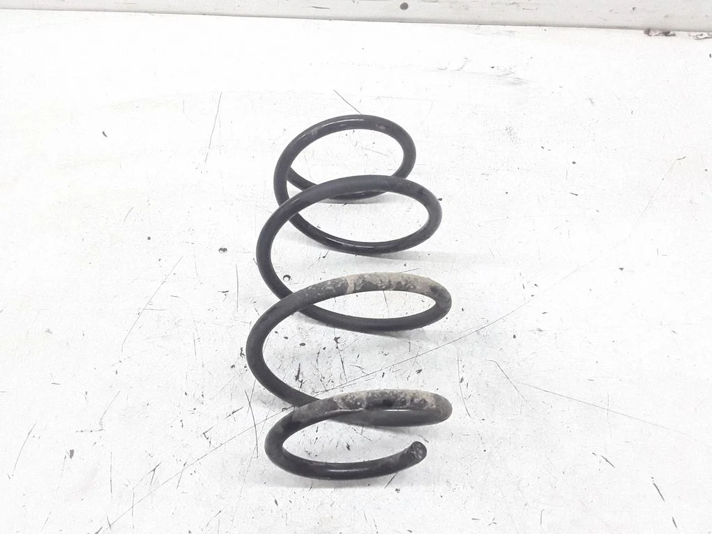 Rear coil spring